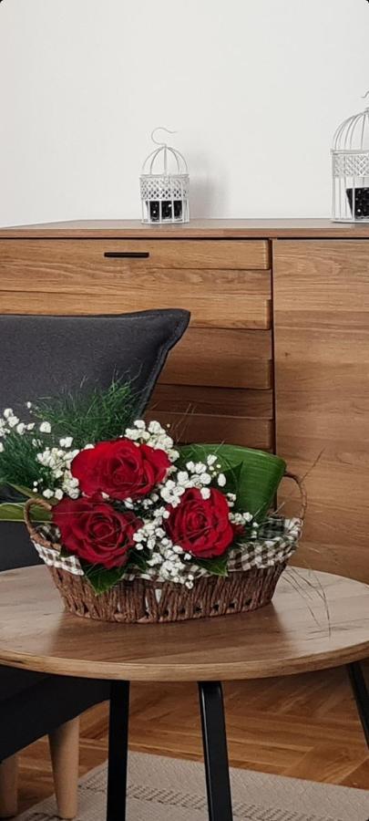 Apartman Tim Lux 2 Vrnjačka Banja Exteriér fotografie