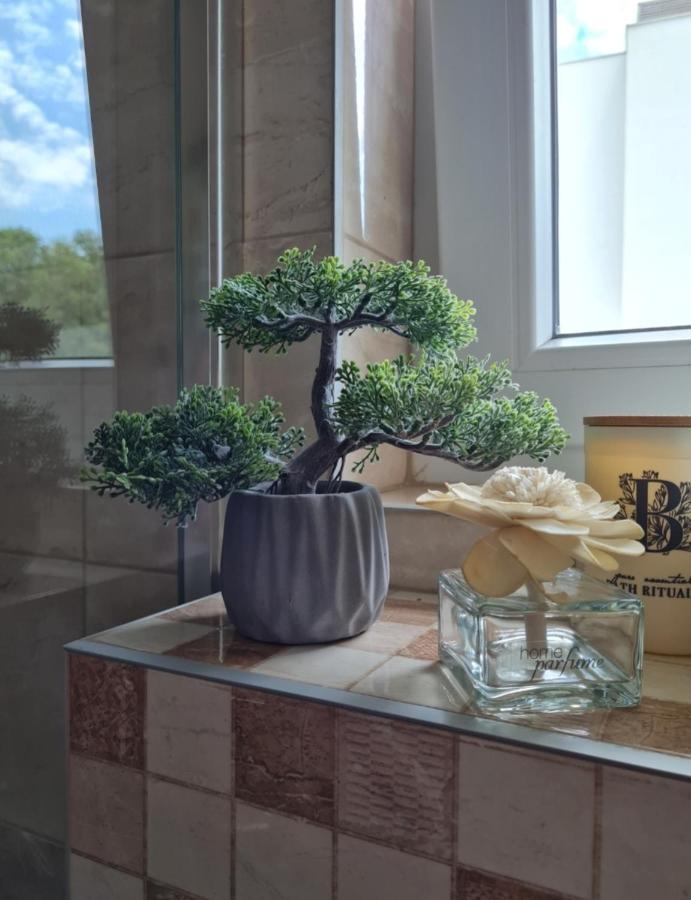 Apartman Tim Lux 2 Vrnjačka Banja Exteriér fotografie