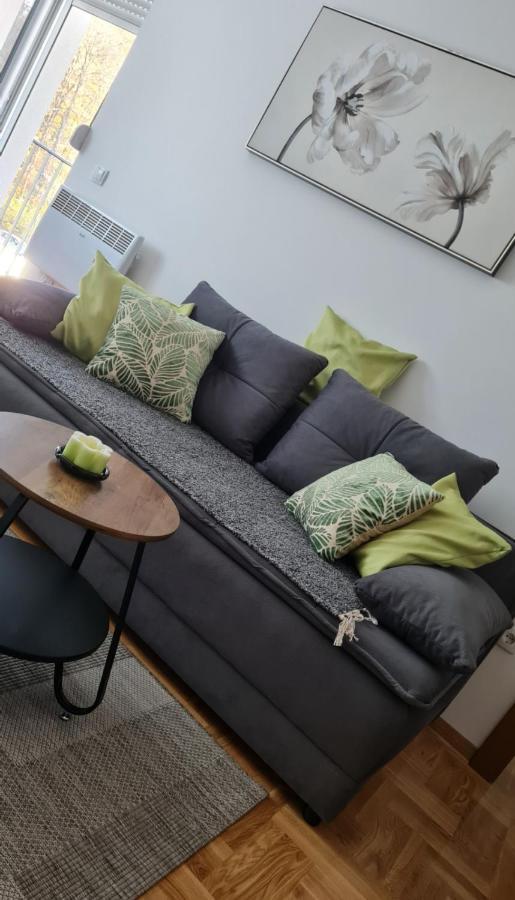 Apartman Tim Lux 2 Vrnjačka Banja Exteriér fotografie